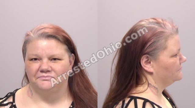 McIntosh, Debbie Sue booking photo