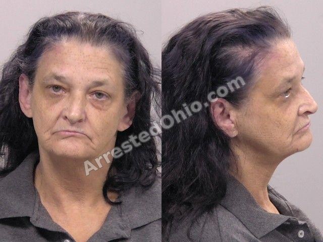 Poling, Patricia Lynn booking photo