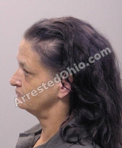 Poling, Patricia Lynn booking photo 2