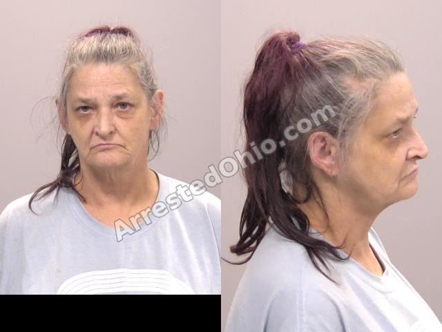 Poling, Patricia Lynn booking photo 3