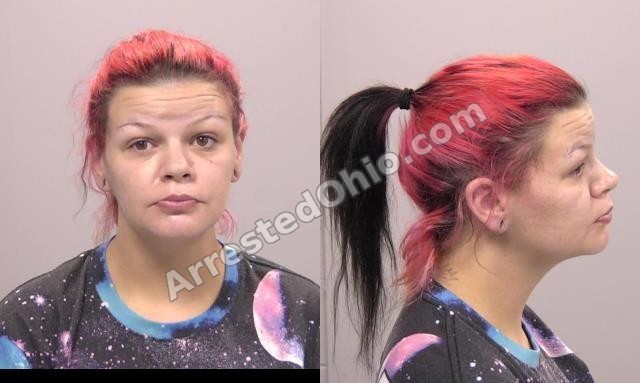 Miller, Amanda Renee booking photo